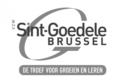 Sint Goedele Brussel Referentie
